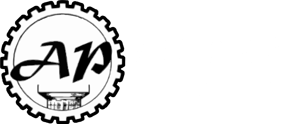 logo1